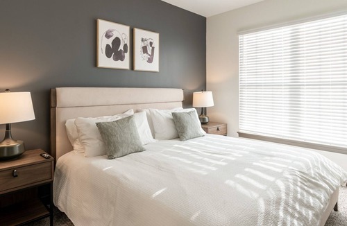 Middletown Apartment | Modern Apartment in Prime Location (ID8060X85)