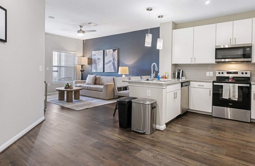 Stone Oak Apartment | Modern Apartment in Prime Location (ID8830X56)