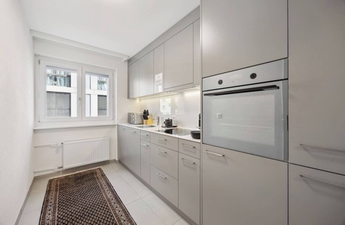 Oerlikon Apartment | Modern Apartment - Near Zurich Center (103-16)