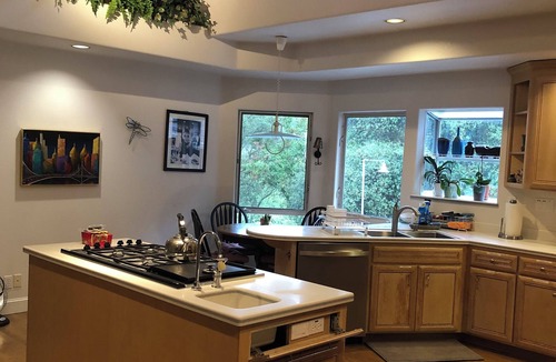 Fair Oaks House | Modern Architectural Sanctuary Tree House in Fair Oaks Village