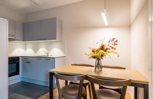 Central Interlaken Apartment | Modern City Apartments