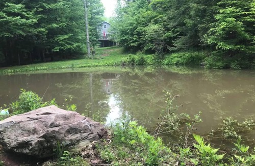 West Kill Cottage | Modern Country Cottage