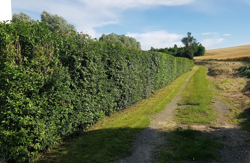 Bezinghem House | Modern country house