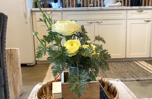 Ochlocknee Apartment | Modern, cozy, Studio Apartment