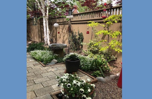 East Central House | Modern Downtown Masterpiece