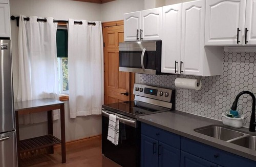 Waubaushene Apartment | Modern Eagle Point Cottage with Sauna Bbq Hot Tub on Tay Trail