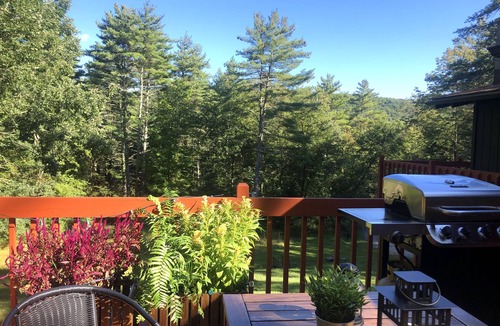 Shohola Cottage | Modern Forest Retreat on a Tranquil Hilltop with SAUNA