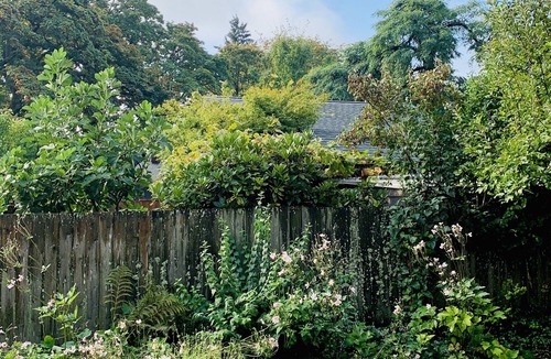 West Eugene House | Modern Garden Oasis by CosiDesign