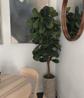 Port Hope Apartment | Modern Group Condo