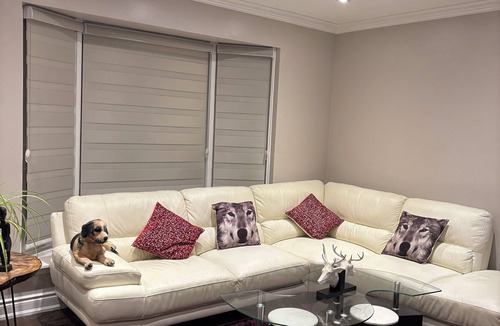 Golfdale Gardens House | Modern home with 3BR near Scarborough Golf Club