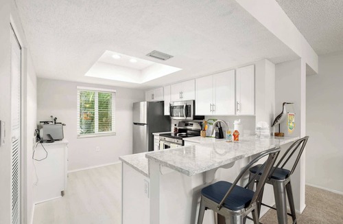 Oldsmar Condo | Modern Lakeside Condo 🌅 | 2 Bed, 2 Bath | Oldsmar, FL