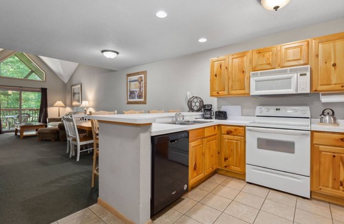 Lake Shore Condo | Modern Lakeview Apt w/Fireplace