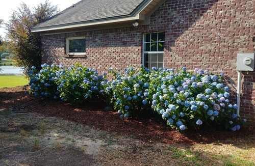 Starkville House | Modern Living in Country Setting