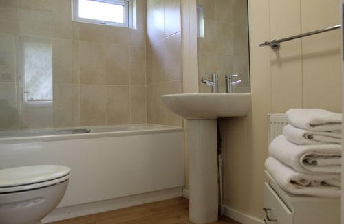 Chichester Cabin | Modern Lodge, Located in Tranquil Gardens