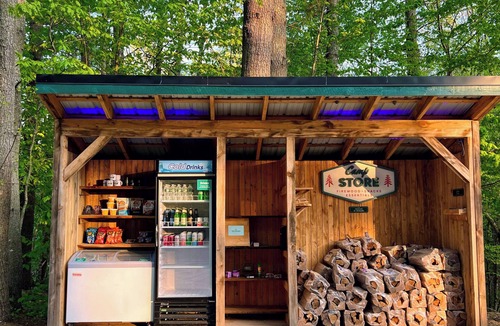 Freeport Cabin | Modern, Luxurious Cabin in the Woods - 01