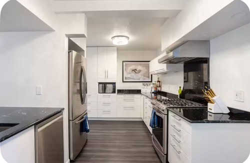 Jungle Terrace House | Modern Luxury St Pete Home w/Spacious, near Treasure Island Beach, sleeps 8