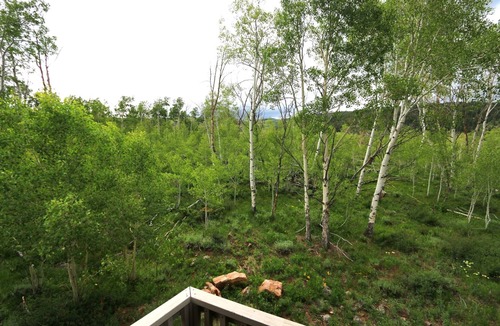 Crested Butte South Apartment | Modern Mountain Lookout