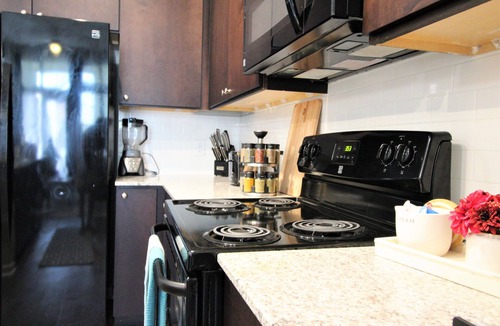 South Main Apartment | *Modern Neat Dwelling close to NRG/Med Center