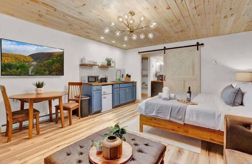 Canadensis Hotel | Modern Pocono Charmer | Firepits | Pet-Friendly