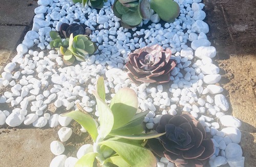 Smithfield Plains Apartment | Modern private room with ensuite bedroom