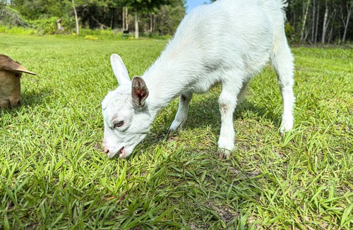 Waldo House | Modern RV With Hot Tub.