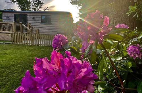 Three Legged Cross Cabin | Modern Shepherds Hut in Dorset, near New Forest & Beaches, Dog friendly