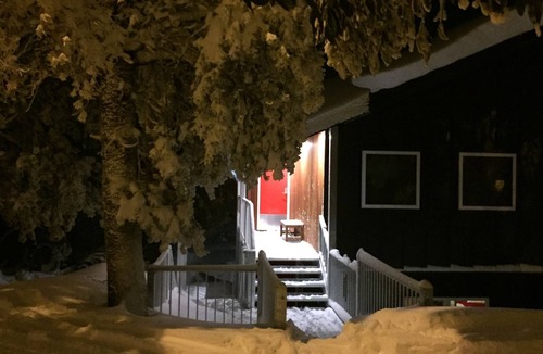 Falls Creek Apartment | Modern ski in ski out