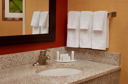 Novi Hotel | Modern Space, Ergonomic Workspace, Swimming Pool, and Pet-Friendly Stay