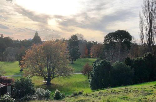 Te Rapa Apartment | Modern spacious Chartwell