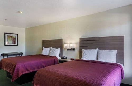 San Antonio Hotel | Modern Stay Near Zoo, Alamo & River Walk w/Parking