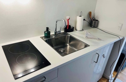 Amager Apartment | Modern Studio Apt Sum