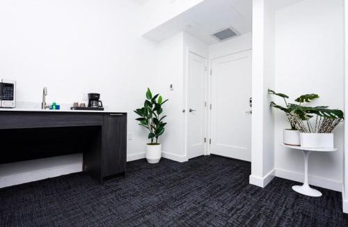 Fenway–Kenmore Apartment | Modern Studio in Historic Boston - Unit #102