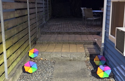 Squire Park Apartment | Modern Studio Prime Location Free Onsite Parking