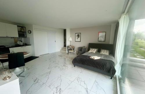 Meilen District Apartment | Modern Studio with Lake View near Zurich