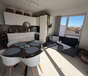 Aalborg Apartment | Modern Stylish Apartment Near City Centre with Parking