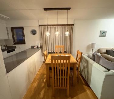 Taesch Apartment | Modern Täsch Apartment with Free Parking