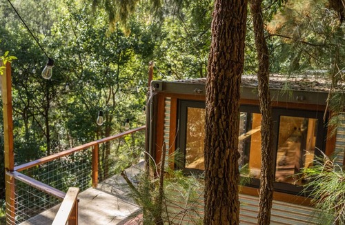 Hornsby Apartment | Modern, Tranquil Container House