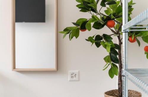 St. Gallen House | Modernes Hostel, Privatzimmer in Shared Apartment, WYBA Living