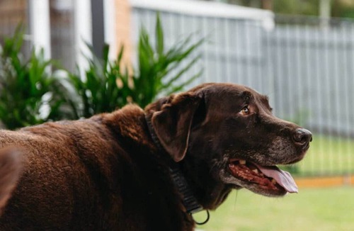 Moffat Beach Apartment | Moffat Beach Coastal Contemporary Unit B