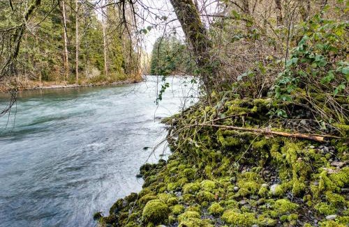 Molalla House | Molalla River Cottage