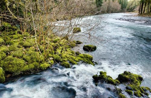 Molalla House | Molalla River Cottage