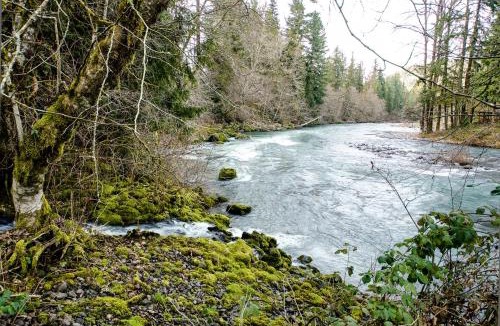 Molalla House | Molalla River Cottage