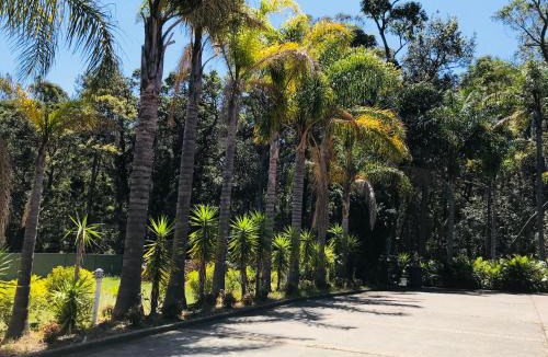 Mollymook Hotel | Mollymook Paradise Haven Motel