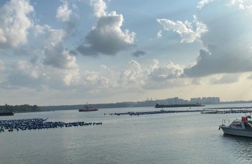 Taman Kota Masai House | Mom's home