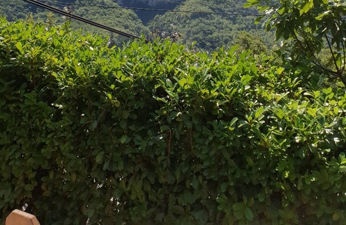 Lantosque Apartment | Mon Gîte à Pélasque