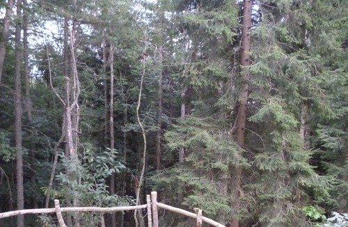 Saint-Bonnet-le-Froid House | MONGOLE YUR BETWEEN ARDÈCHE AND HAUTE-LOIRE