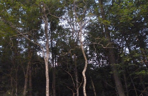 Saint-Bonnet-le-Froid House | MONGOLE YUR BETWEEN ARDÈCHE AND HAUTE-LOIRE