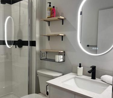 Downtown Halifax Apartment | Monkey Jungle Downtoqwn AC, Unit 213