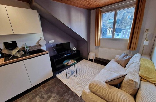 Bagneres-de-Bigorre Apartment | Monné ✦ T2 cosy attic ✦ Bagnères center