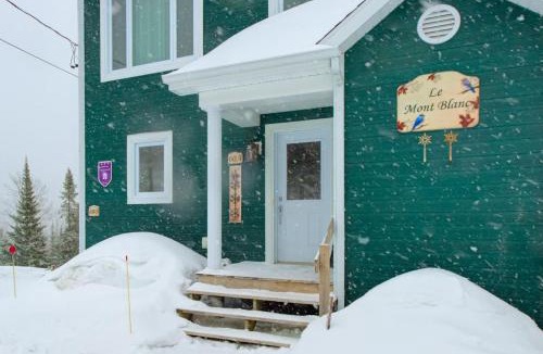 Saint-Philemon Ski Chalet | Mont Blanc #B - Private Spa near Massif du Sud